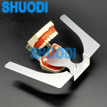 3D סוג שיניים אורתודונטי סגרי Maxillary הליהוק הלסת פוקס המטוס צלחת מלאה שיניים תותבות שיניים הלבנת